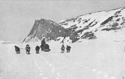 sverdrup dog sledding.jpg